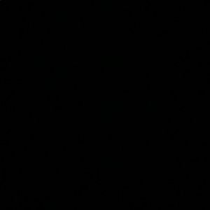 Meet your Posher, Trey